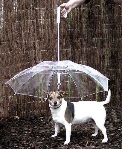 upside down umbrella for dogs