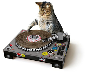 cat-turntable