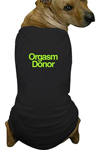 orgasm-donor-dog