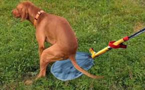 dog catcher poopy poop bag stick