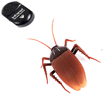 remote-controlled-cockroach